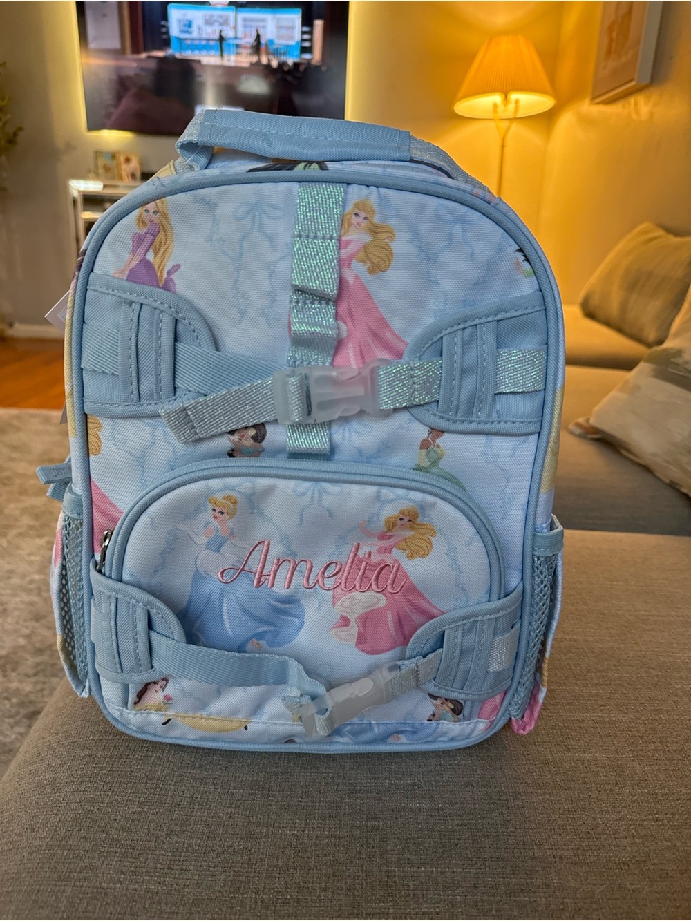 New Pottery Barn Kids Light Blue Princess Print Lunch Bag with Pastel Accent